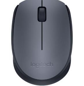 Logitech Wireless Mouse M170
