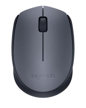 Logitech Wireless Mouse M170