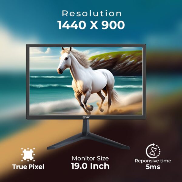 EVM EVM195GRAND 19.5-inch HDMI MONITOR