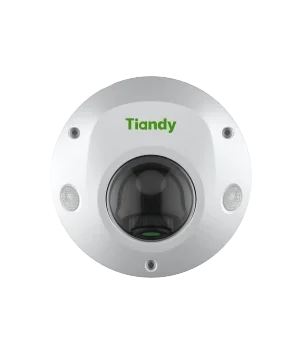 TIANDY TC-C35PS Mini Dome Pro Project Series 5MP Camera